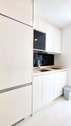 Loft @ Holland (D10), Apartment #597865981